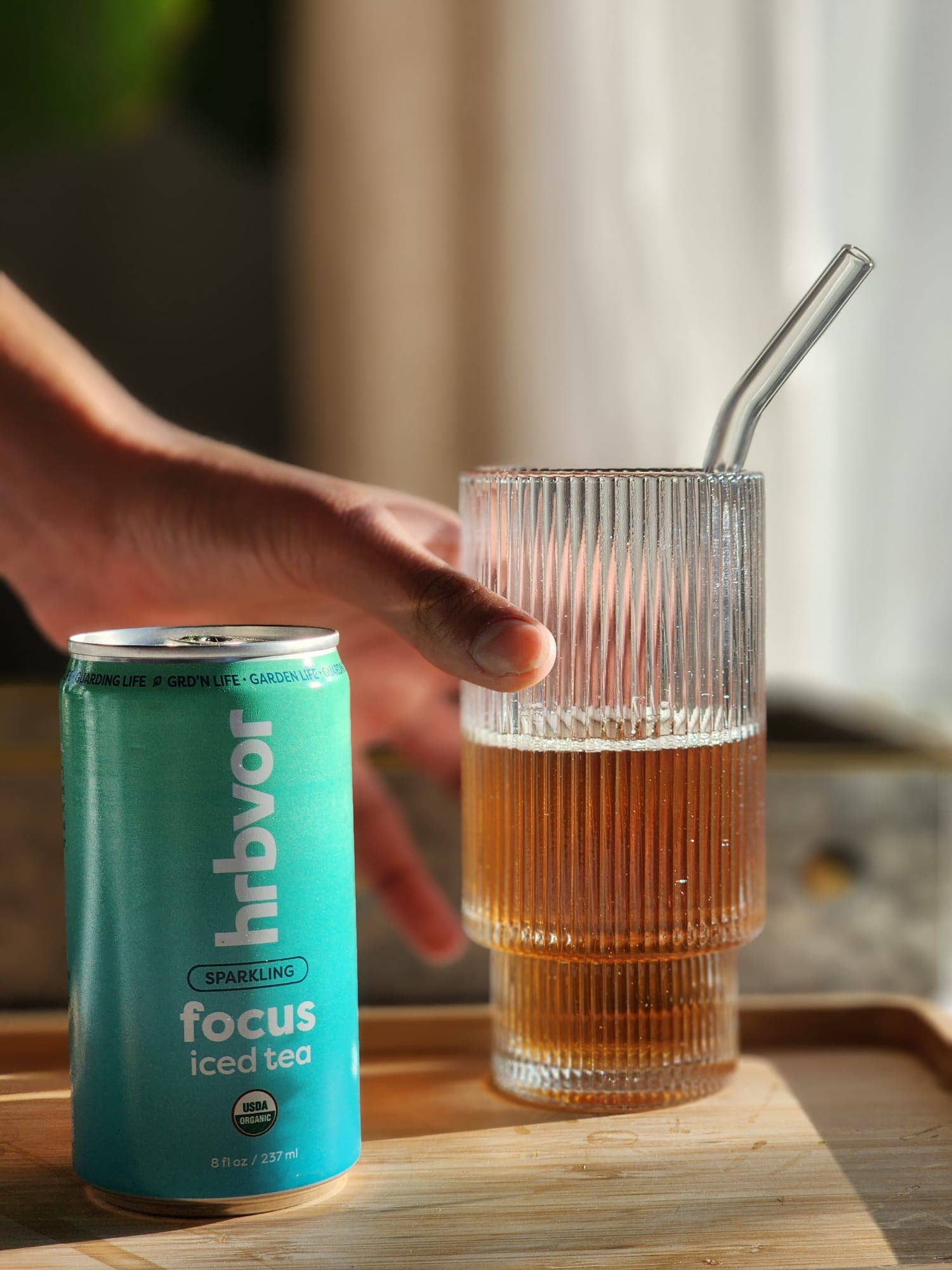 FOCUS | Organic nootropic tea | 8oz Sparkling Can